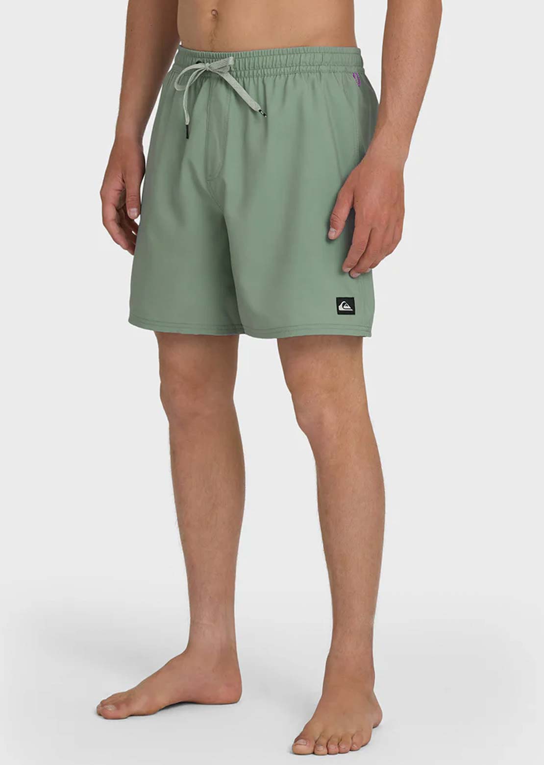 Quiksilver Men's Everyday Solid Volley 17 Shorts Lily Pad