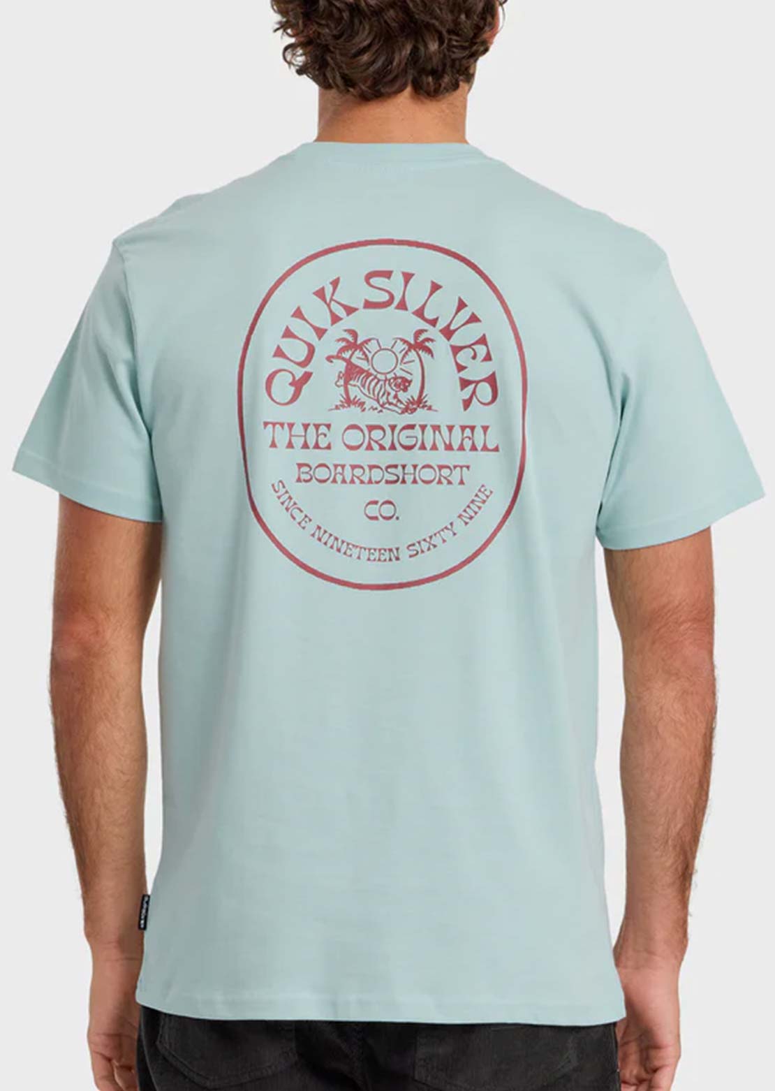 Quiksilver Men's In The Wild MT0 T-Shirt Blue Haze