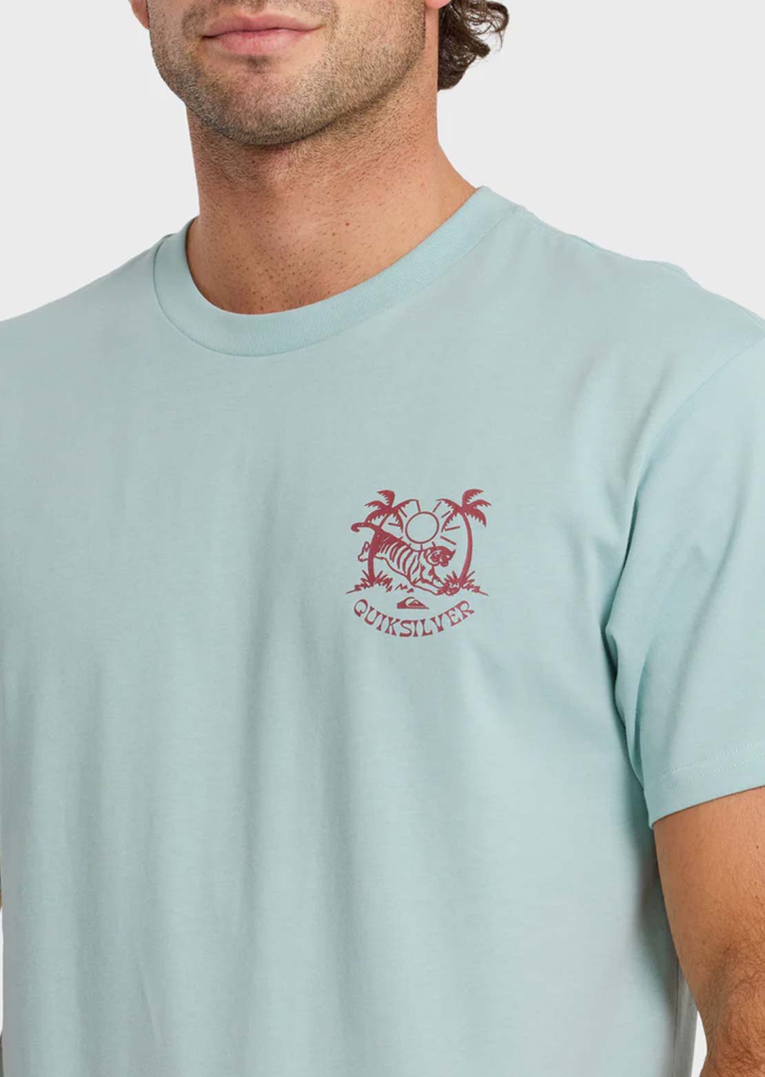 Quiksilver Men's In The Wild MT0 T-Shirt Blue Haze