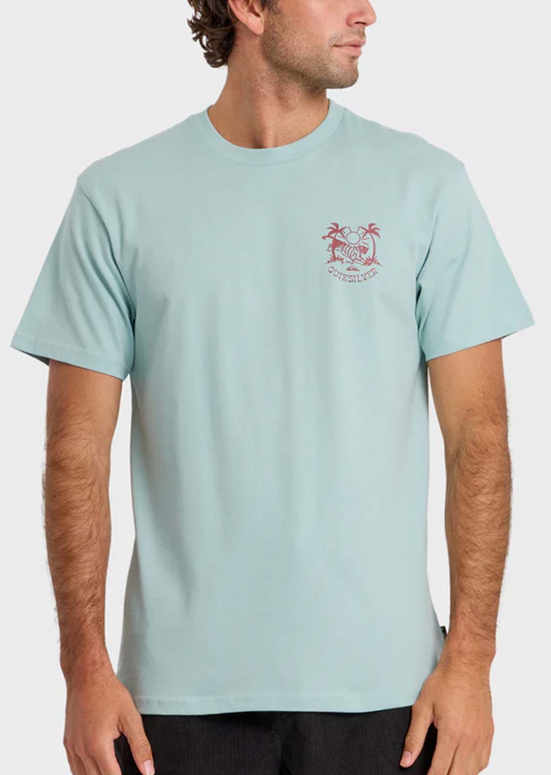 Quiksilver Men's In The Wild MT0 T-Shirt Blue Haze