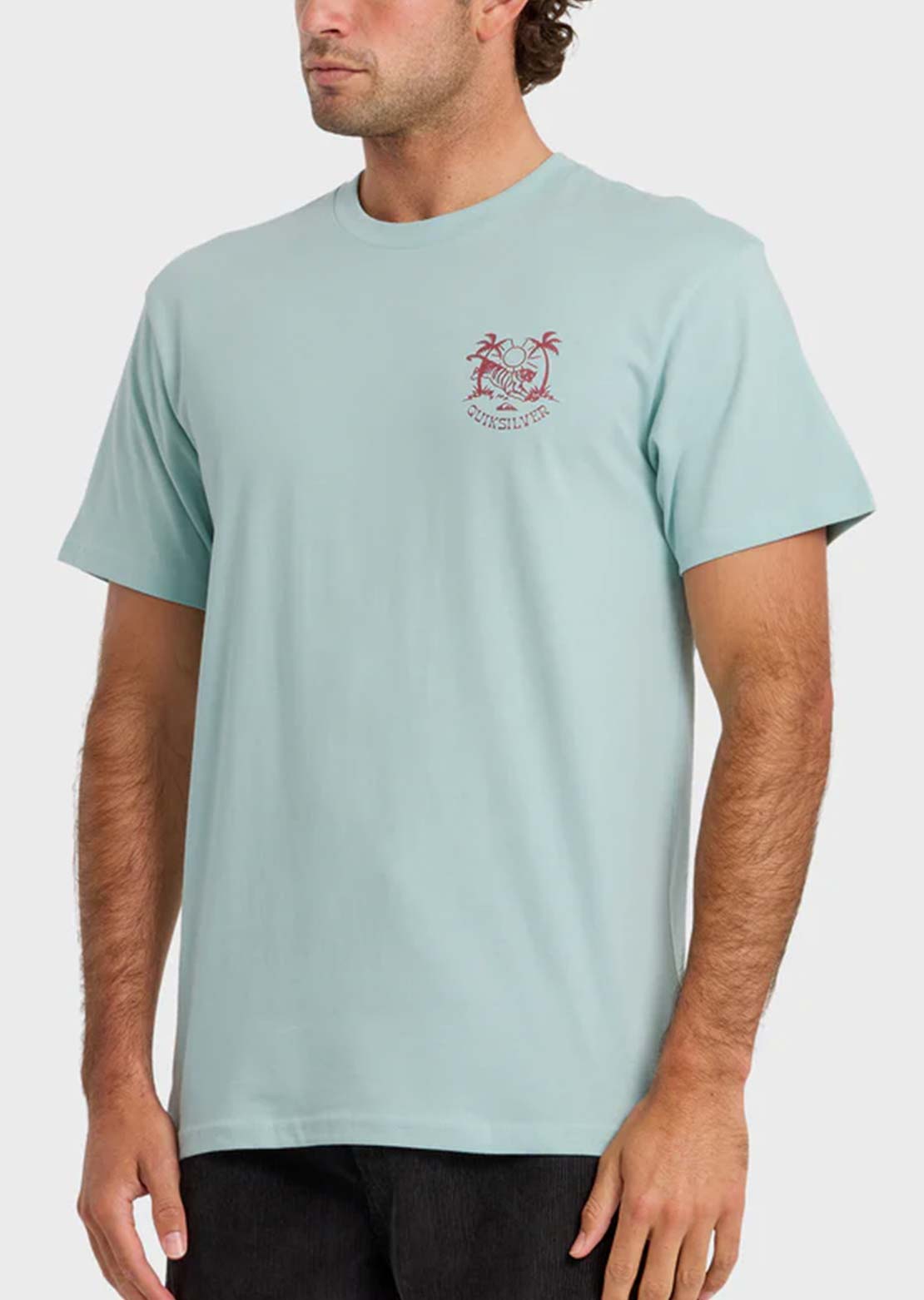 Quiksilver Men's In The Wild MT0 T-Shirt Blue Haze