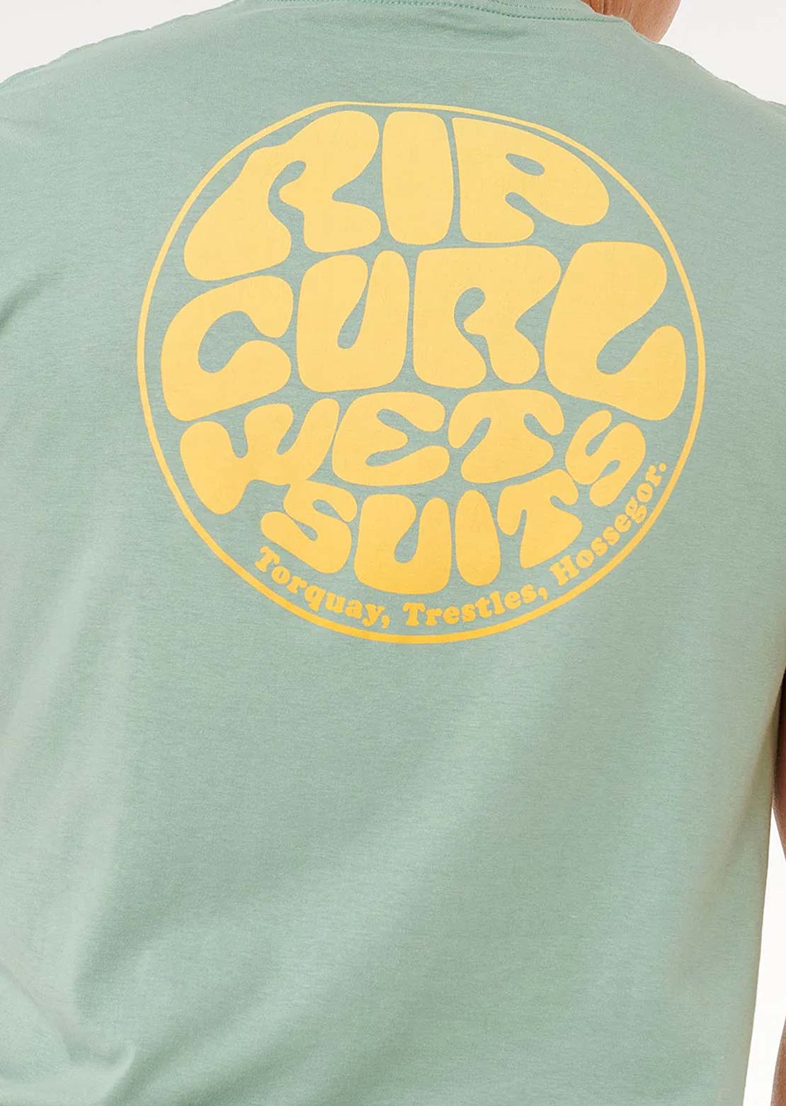 Rip Curl Men's Wettie Passage Icon T-Shirt Aloe