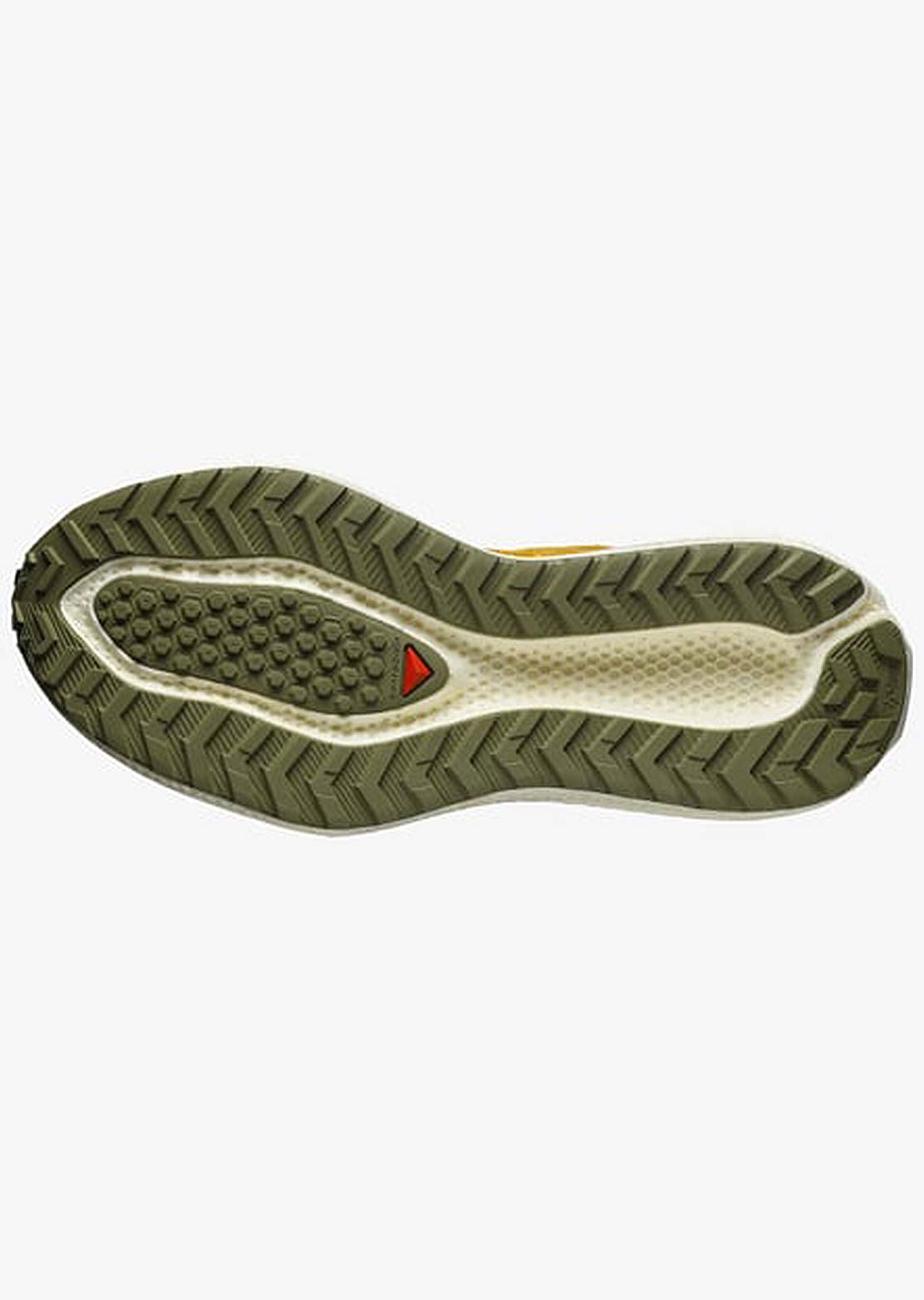 Salomon Men's Aero Glide 3 Grvl Shoes Spicy Mustard/Vanilla Ice/Deep Lichen Green