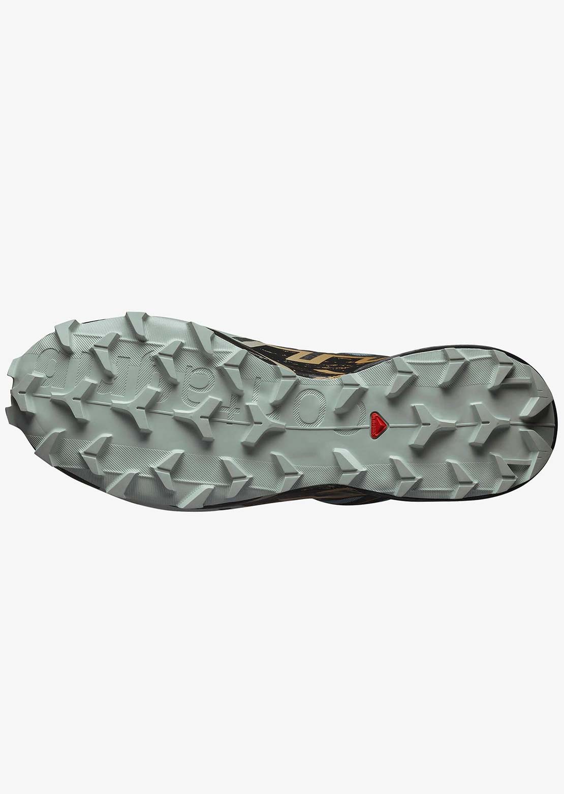 Salomon Men's Speedcross 6 GORE-TEX Shoes Troope/Black/Wood