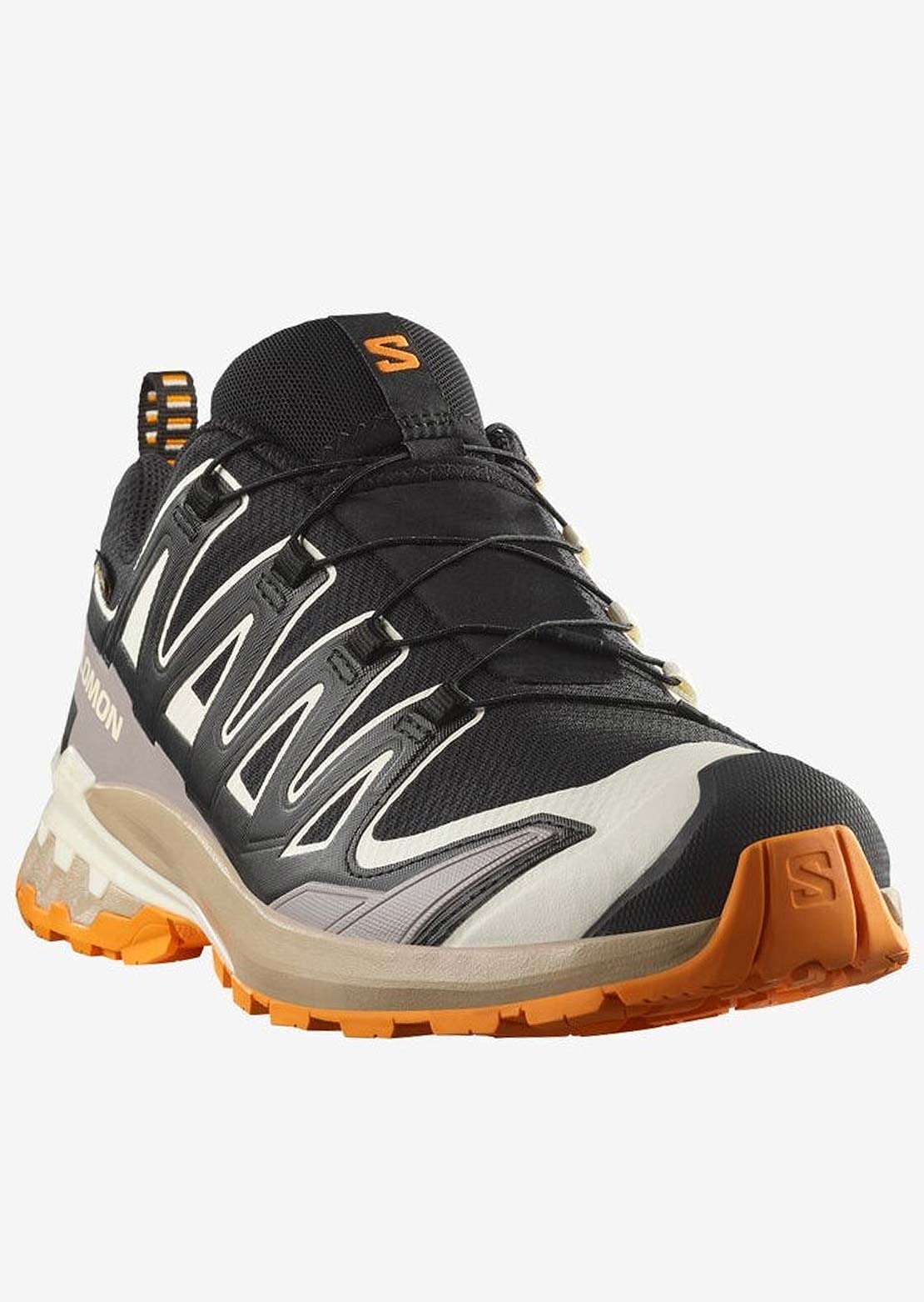 Salomon Men's XA Pro 3D V9 GTX Trail Running Shoes Black/Vanilla Ice/Turmeric