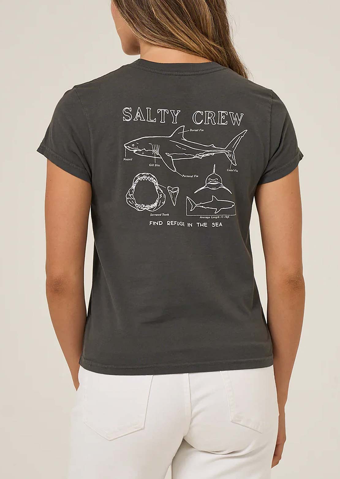 Salty Crew Women's Shark Anatomy Modern T-Shirt