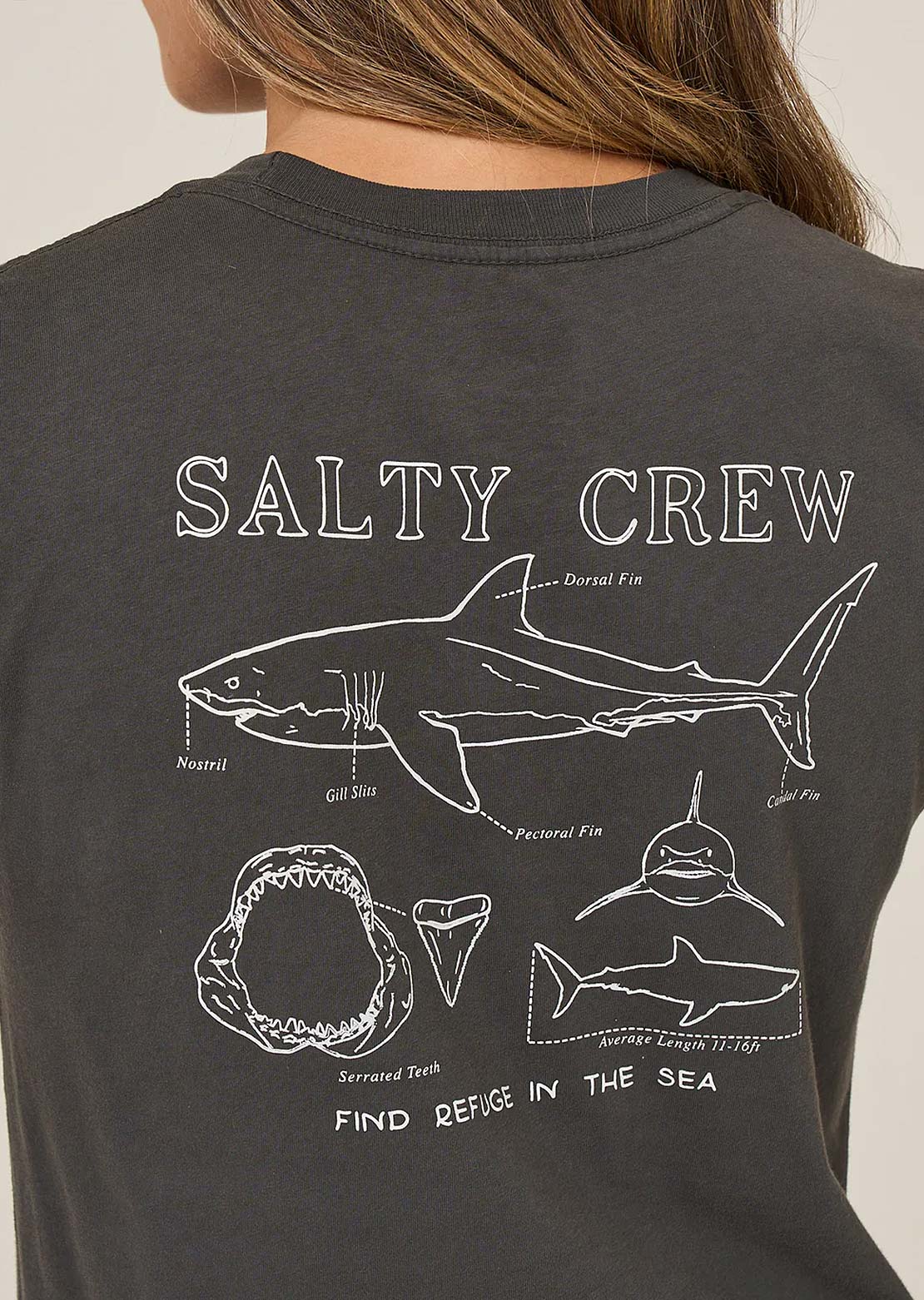 Salty Crew Women's Shark Anatomy Modern T-Shirt
