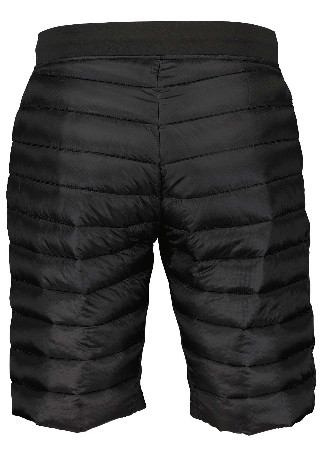 SCOTT Men's Insuloft Tech Shorts