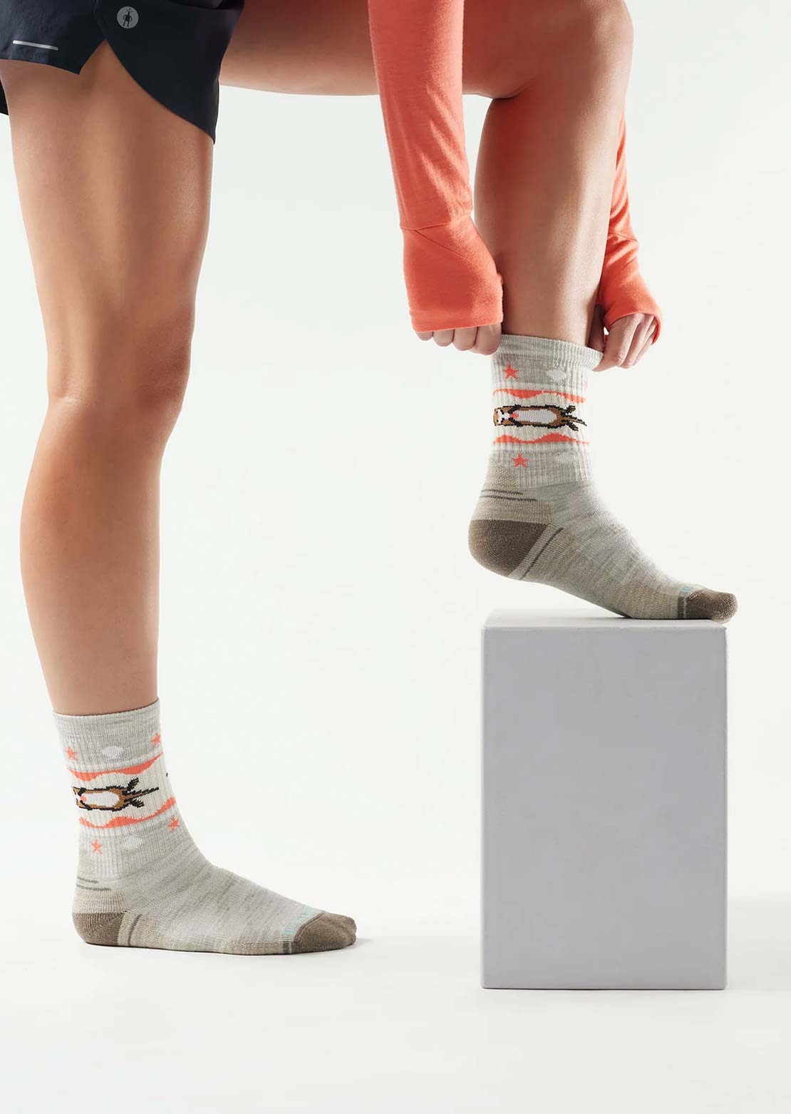 Smartwool Women's Hike Light Cushion Otter Float Crew Socks Ash