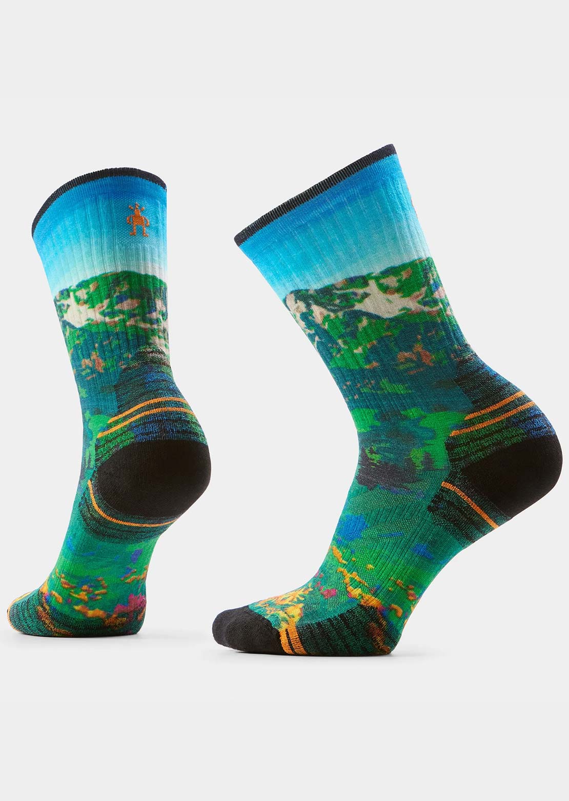 Smartwool Women's Hike Targeted Cushion Mountain Lake Print Crew Socks Capri