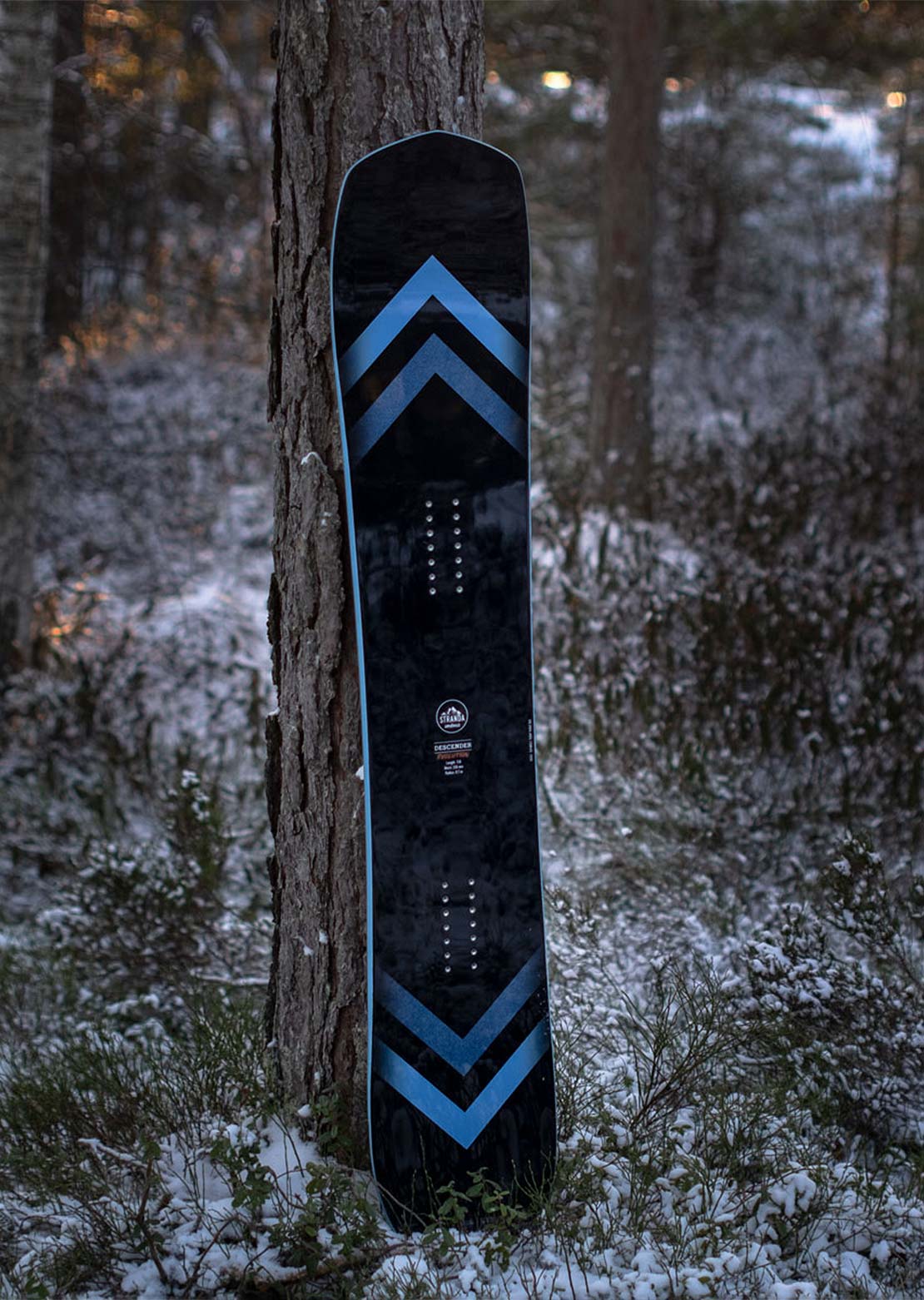 Stranda Unisex Descender Evolution Freeride/All Mountain Snowboard
