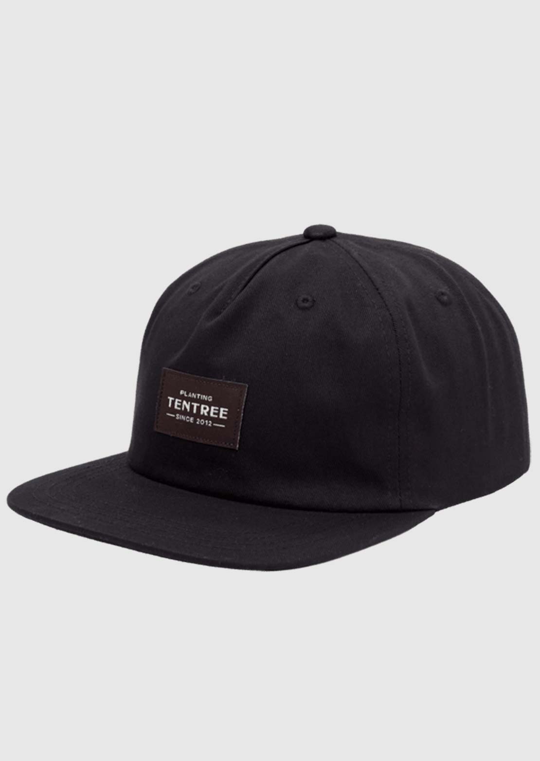 Tentree Men's Heritage Apex Cap