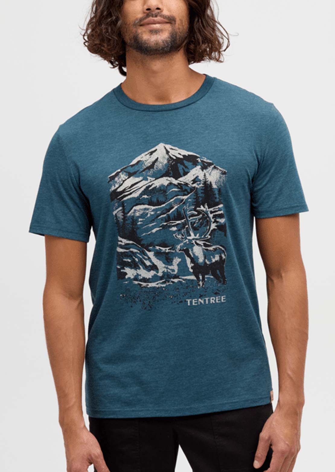 Tentree Men's Winter Mountain Tops T-Shirt