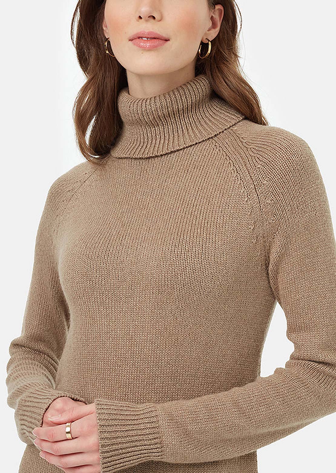 Tentree Women's Highline Turtleneck Maxi Dress Fossil Heather