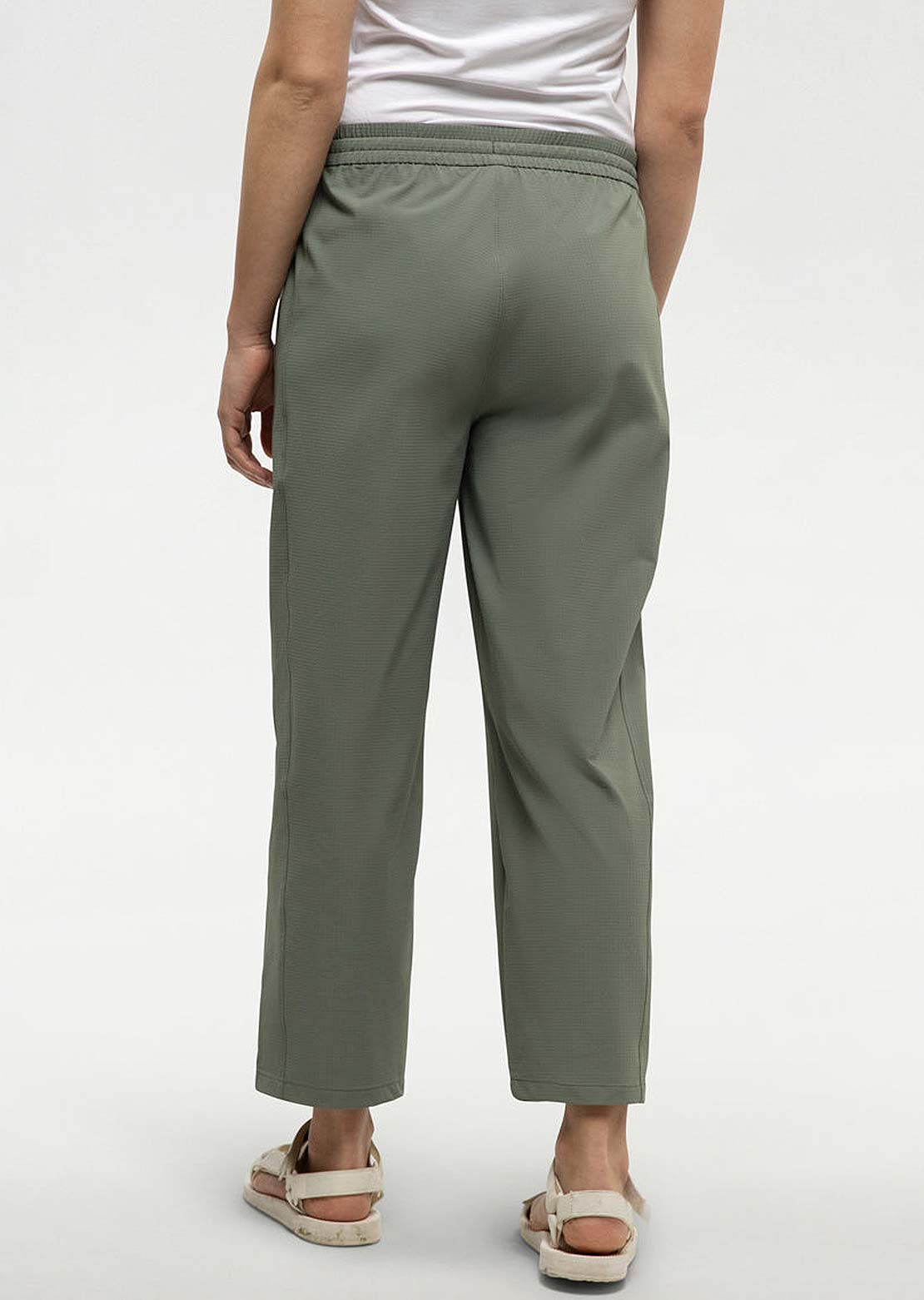 Tentree Women&#39;s Shale Pant Agave Green