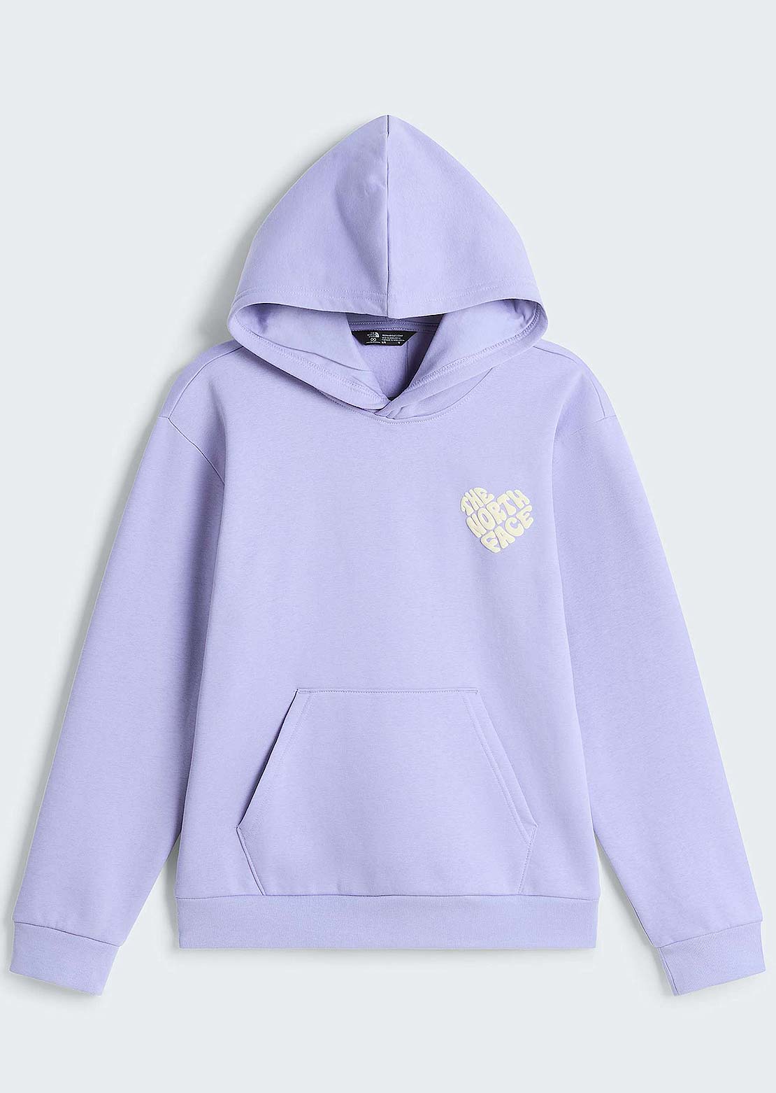 The North Face Junior Brand Proud Relaxed Graphic Hood