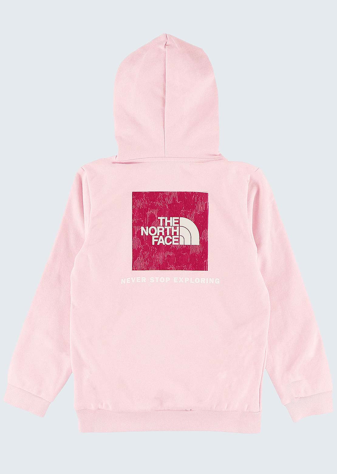 The North Face Junior Evolution Box NSE Graphic Pullover Hood Pale Blossom/Lali Guran Regenerative Ink Print