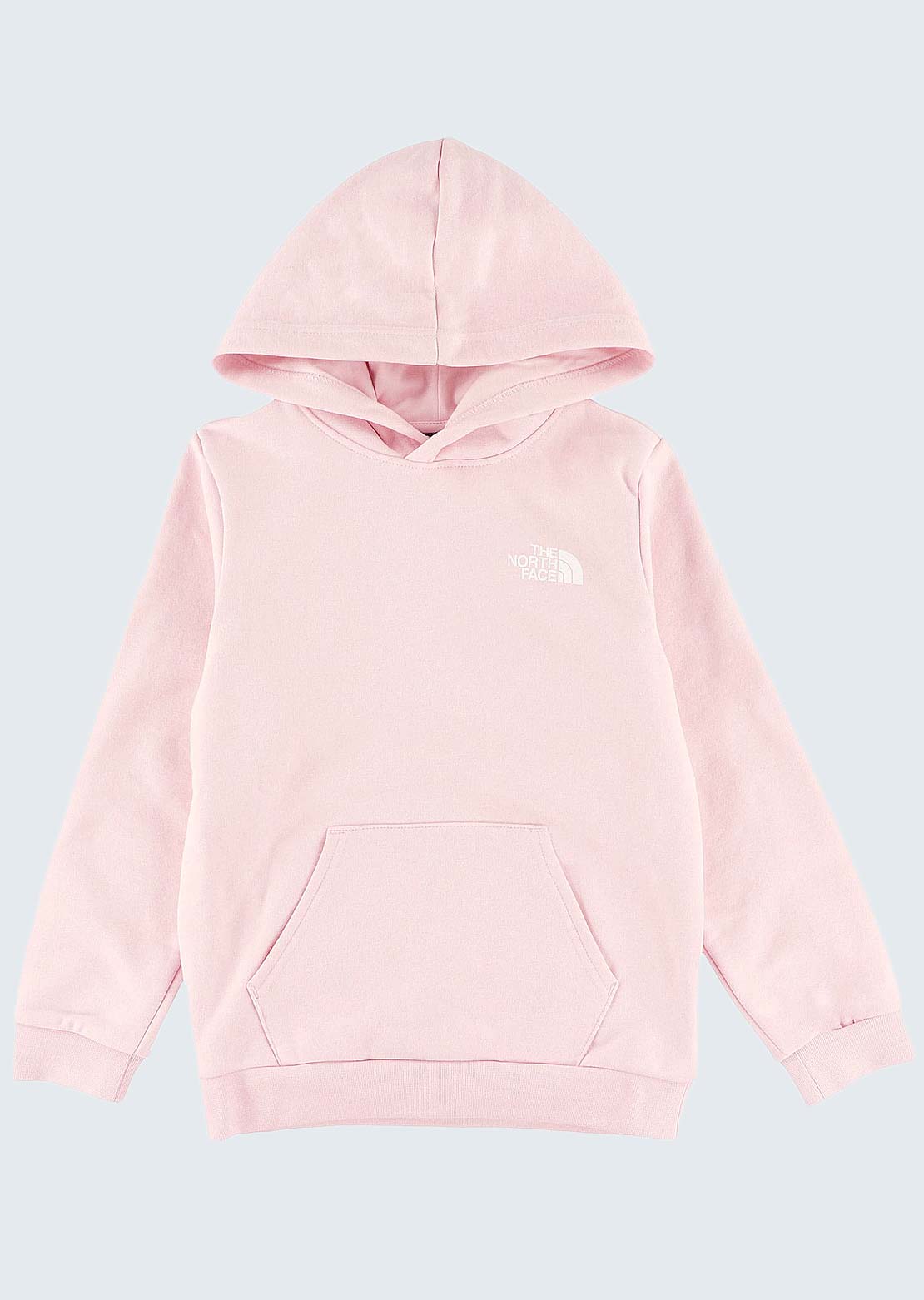 The North Face Junior Evolution Box NSE Graphic Pullover Hood Pale Blossom/Lali Guran Regenerative Ink Print