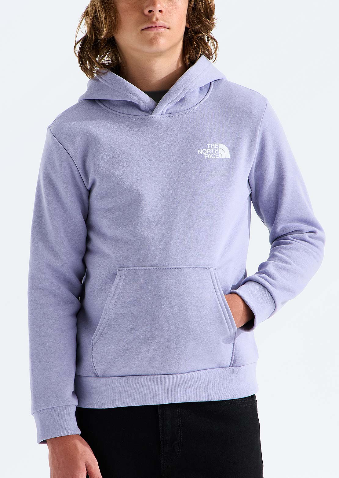 The North Face Junior Evolution Box NSE Pullover Chandail à capuche