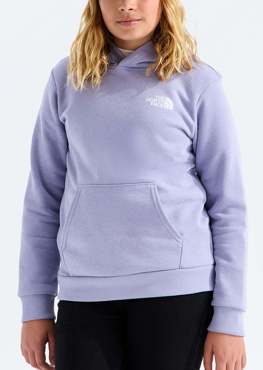 The North Face Junior Evolution Box NSE Pullover Chandail à capuche