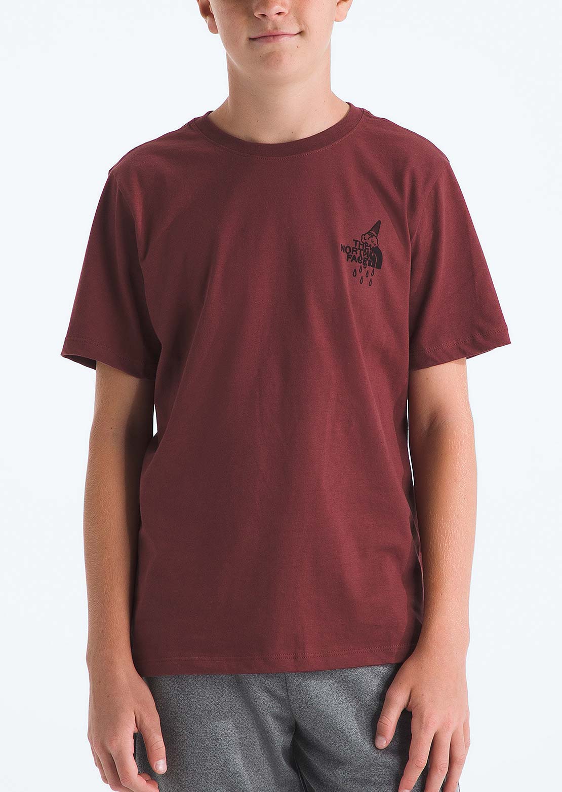 The North Face Junior Evolution Snow Sports Graphic T-Shirt Sumac