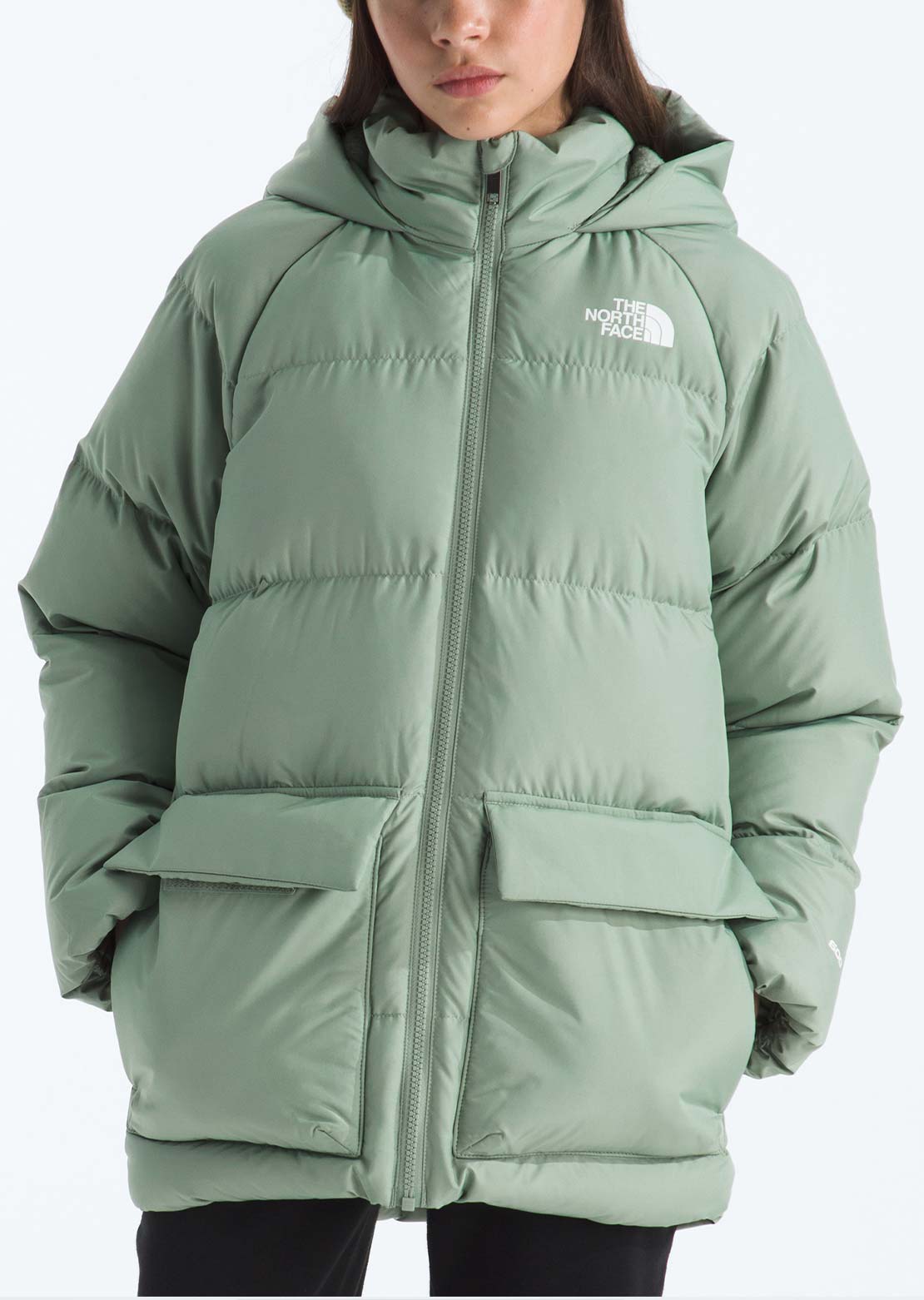 The North Face Junior North Down Fleece Lined Short Parka Slate Moss