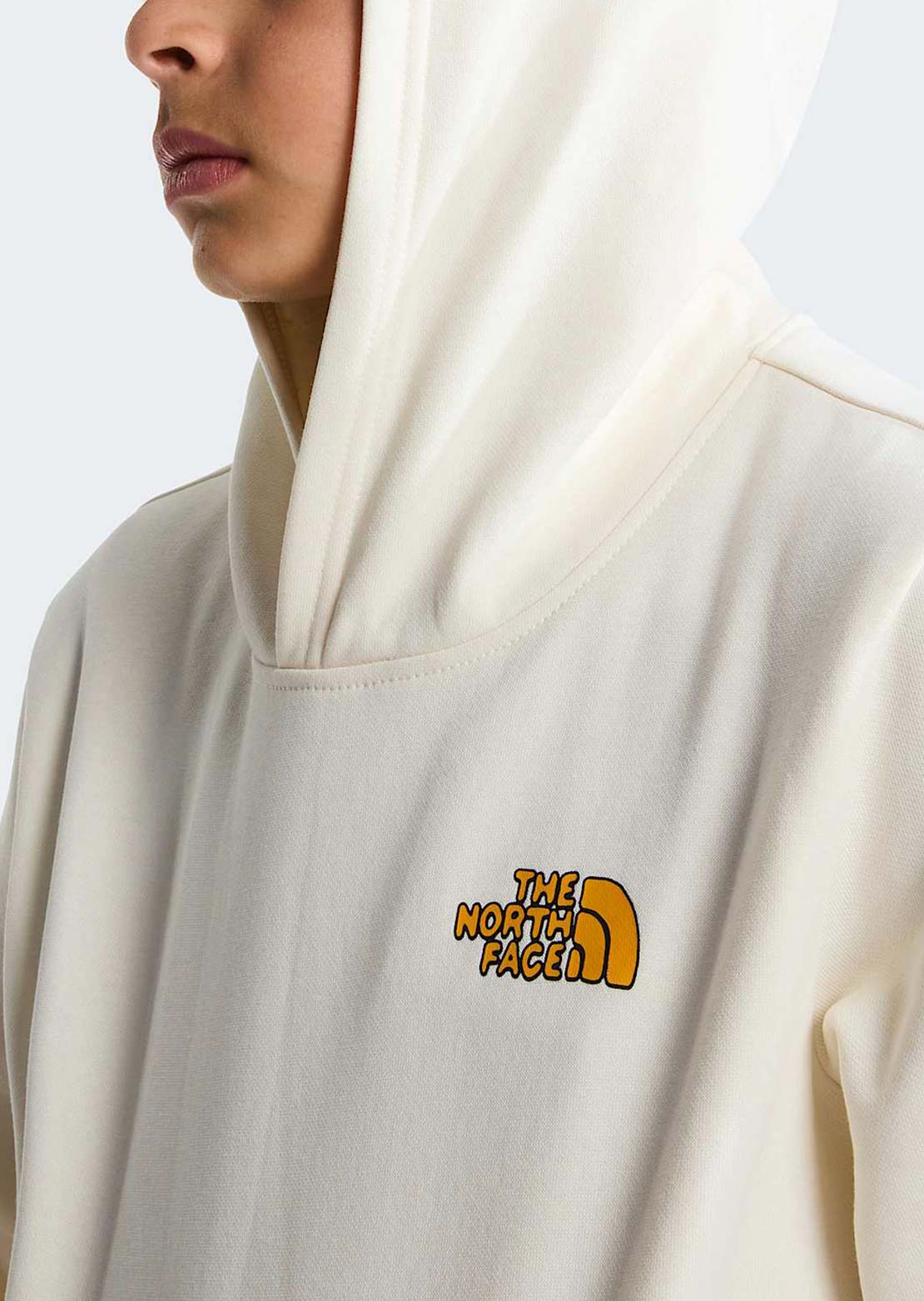The North Face Junior Outdoor Regular Graphic Chandail à capuche