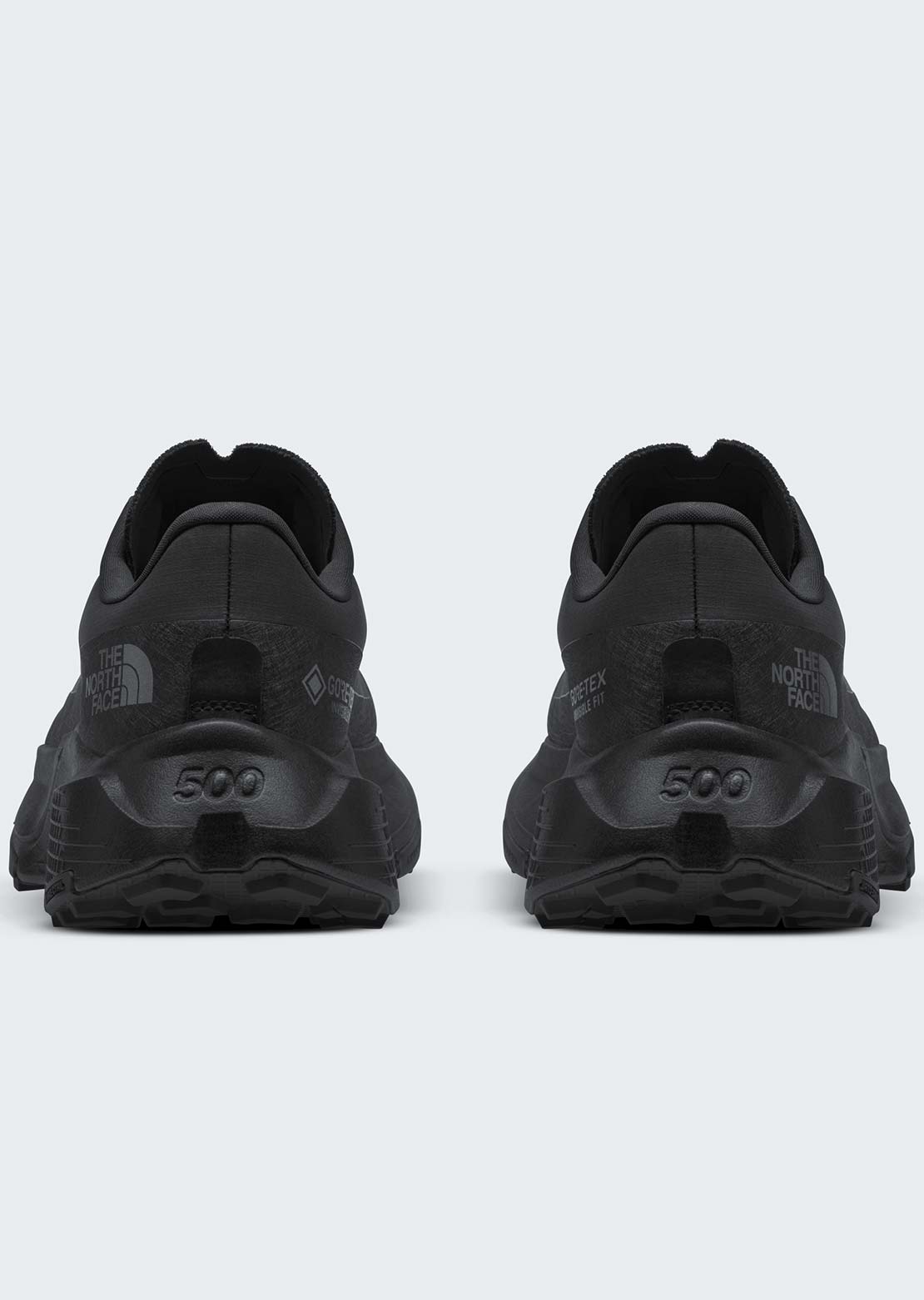 The North Face Men's Altamesa 500 V2 GORE-TEX Shoes
