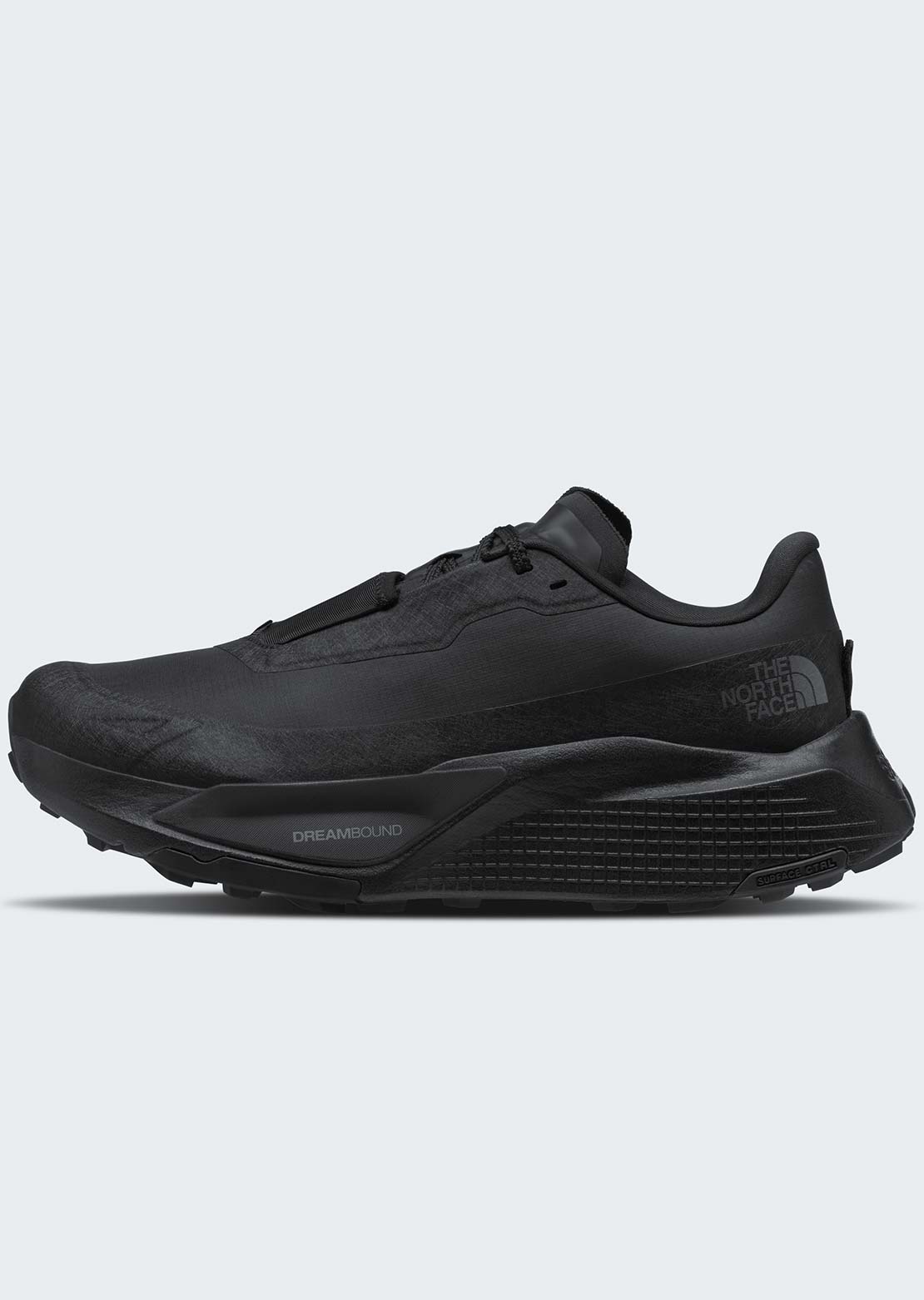 The North Face Men's Altamesa 500 V2 GORE-TEX Shoes