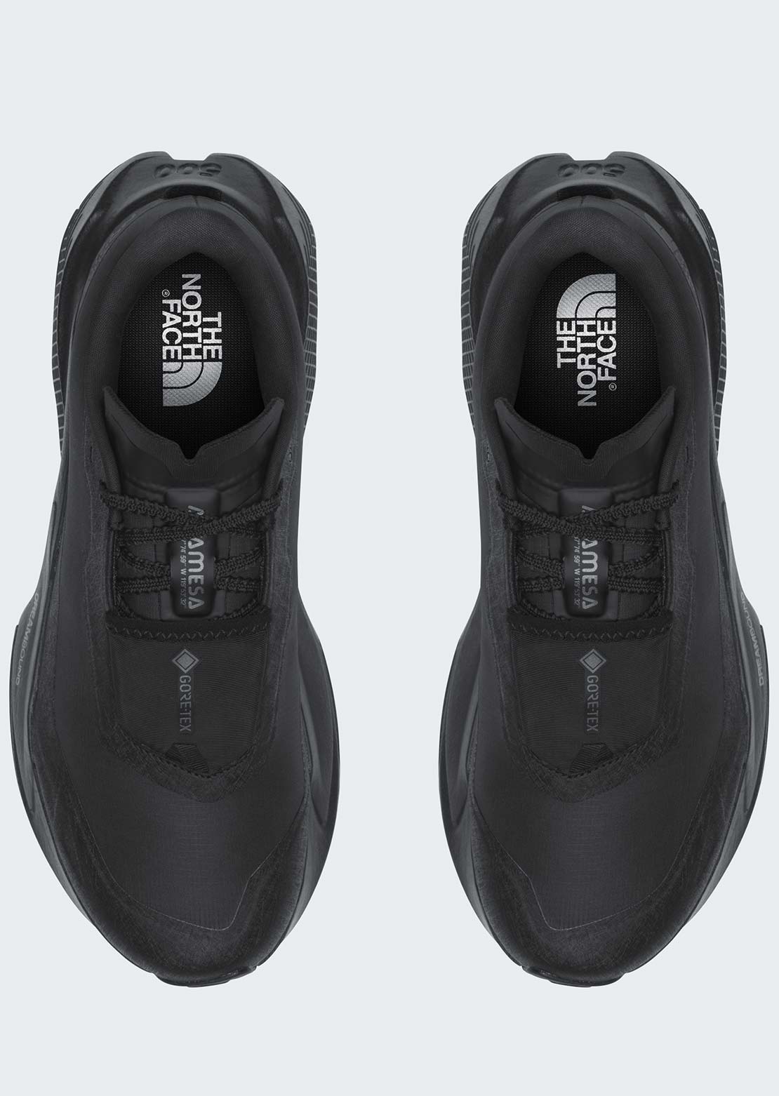 The North Face Men's Altamesa 500 V2 GORE-TEX Shoes