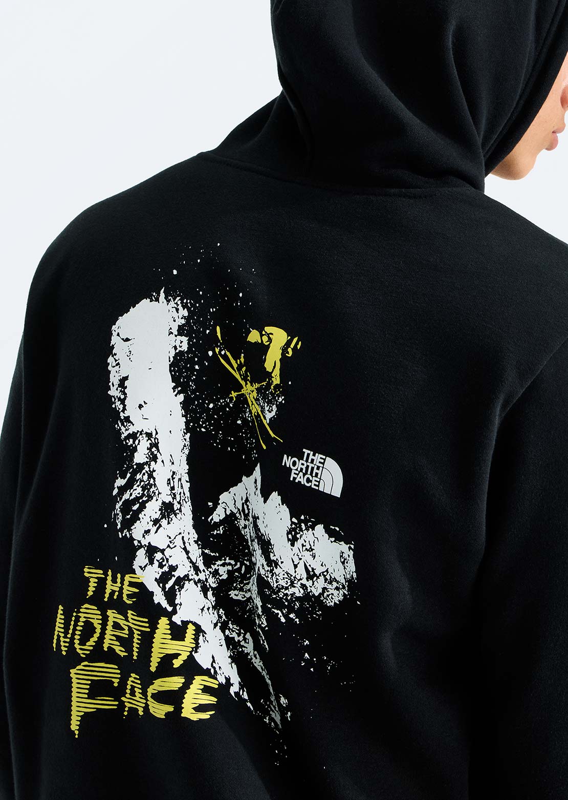 The North Face Hommes Evolution Descent Regular Chandail à capuche