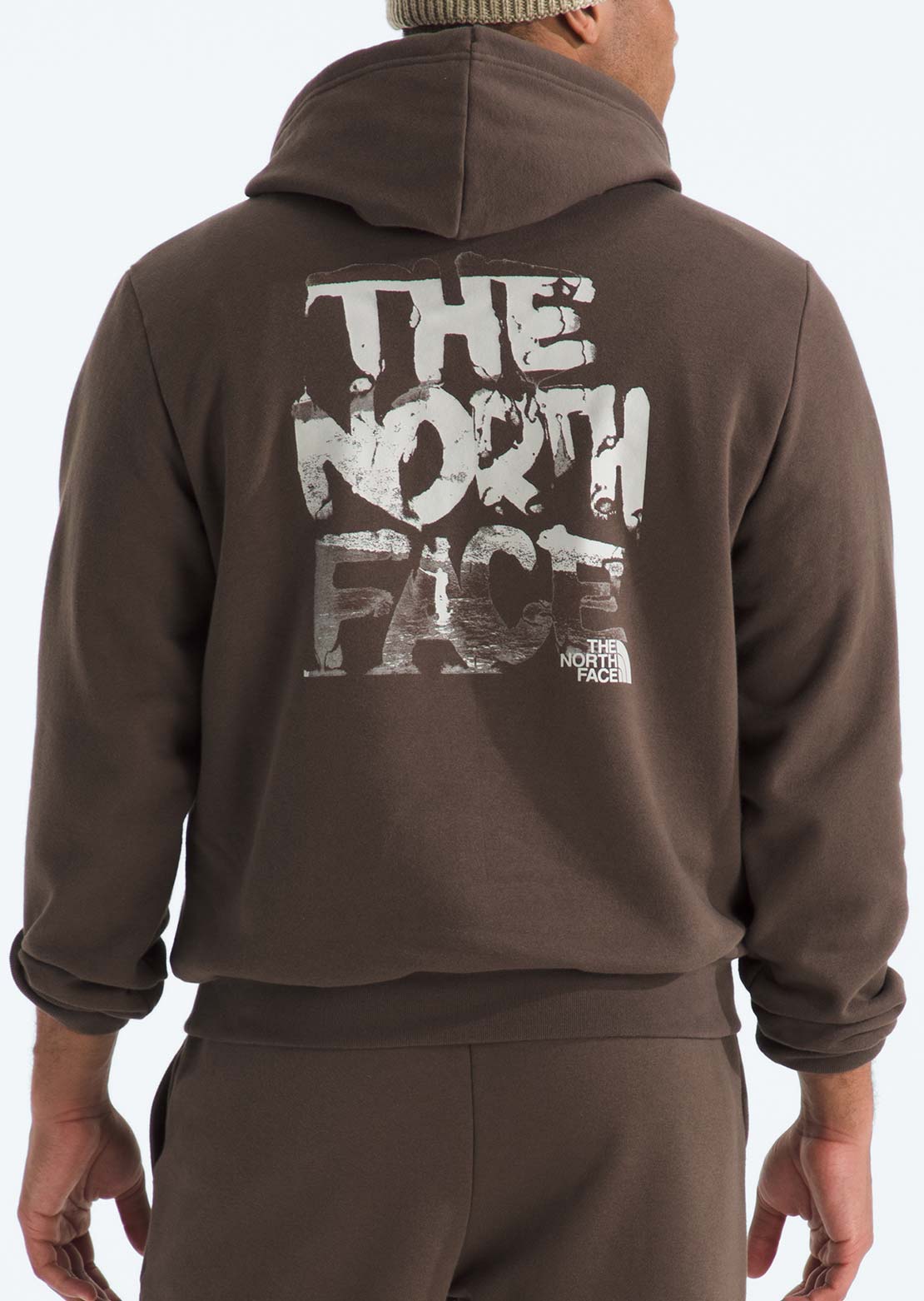 The North Face Men's Evolution Nature Exposure Graphic Hood Smokey Brown