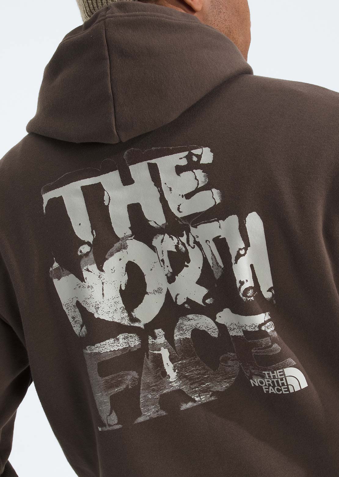 The North Face Men's Evolution Nature Exposure Graphic Hood Smokey Brown