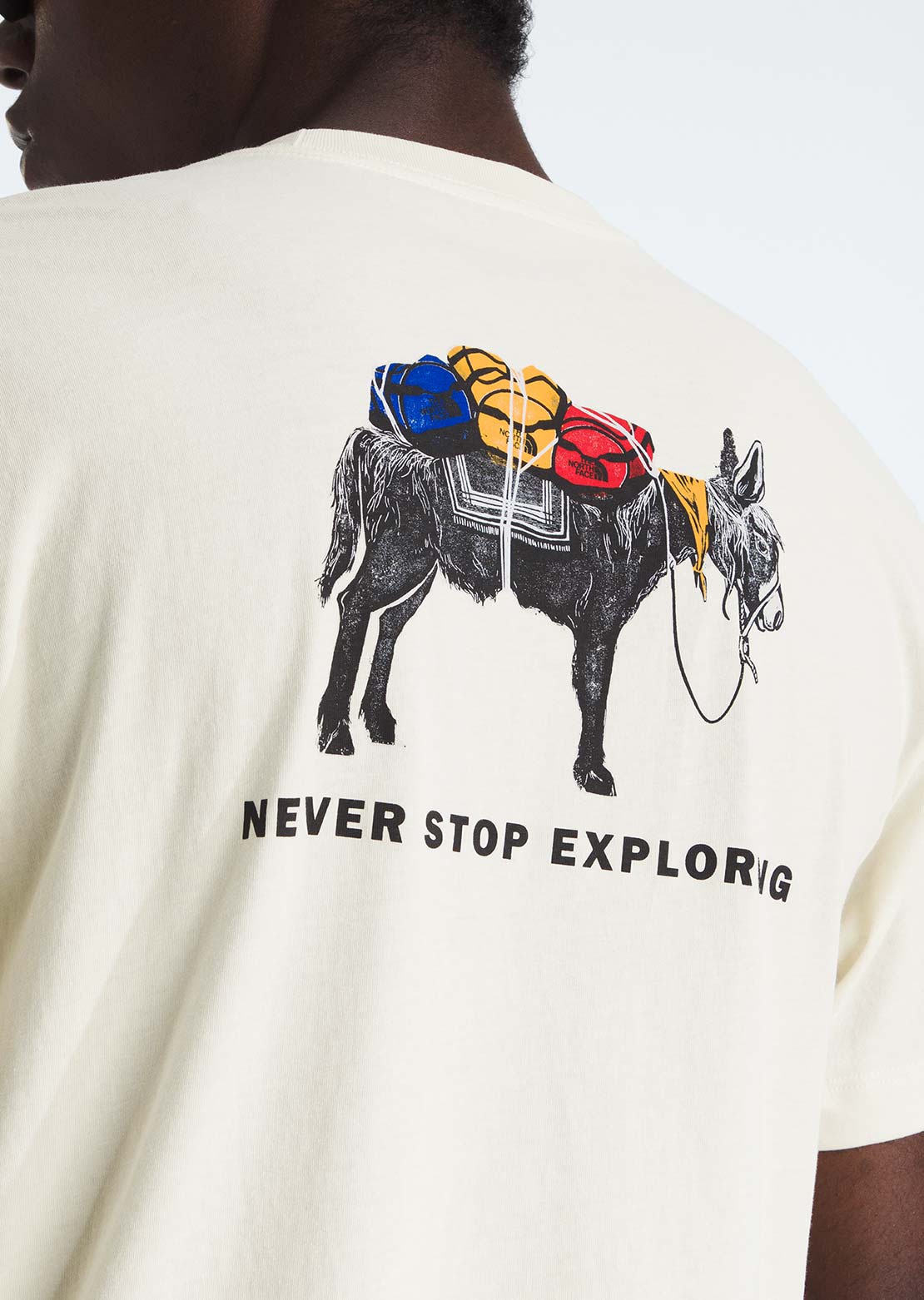 The North Face Men's Evolution Pack Graphic T-Shirt White Dune