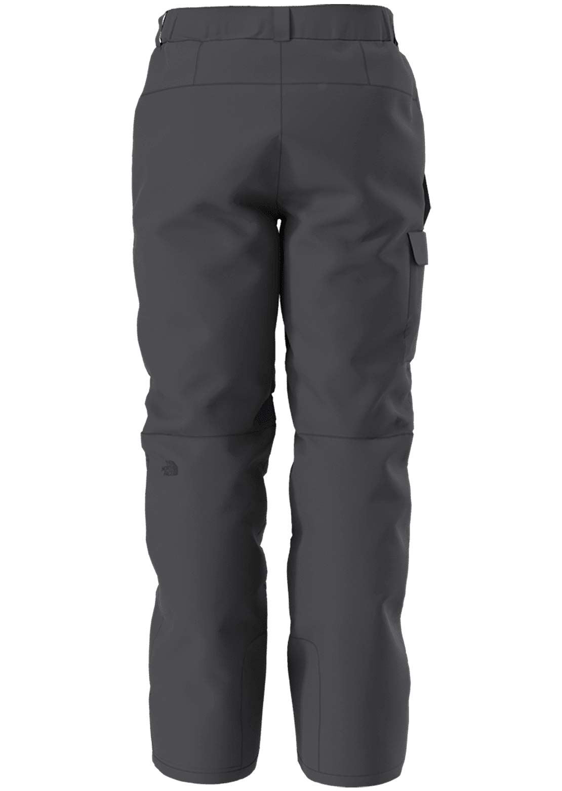 The North Face Men's Freedom Insulated Pant Asphalt Grey/NPF