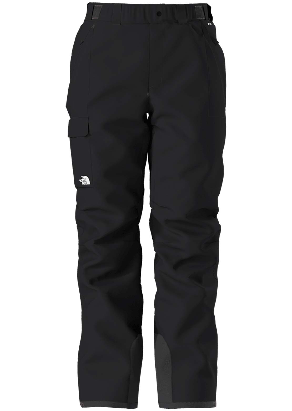 The North Face Men's Freedom Insulated Pant TNF Black/NPF