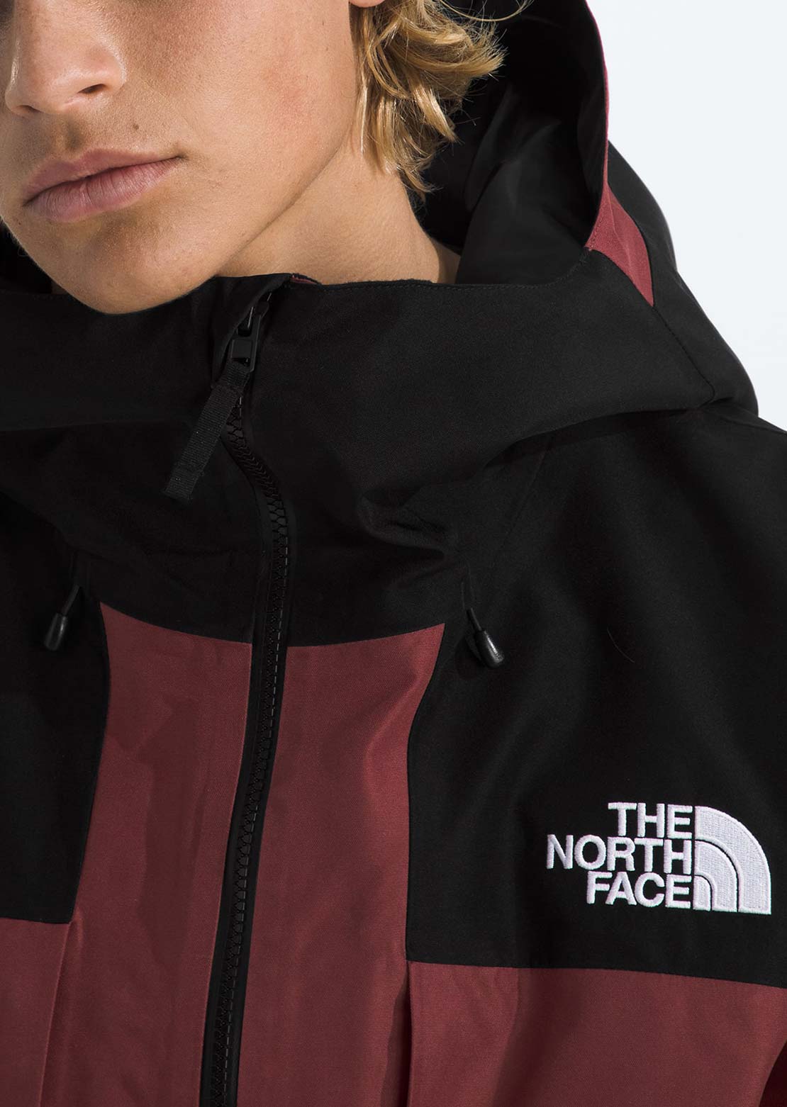 The North Face Men's GTX Hex Jacket Sumac/TNF Black