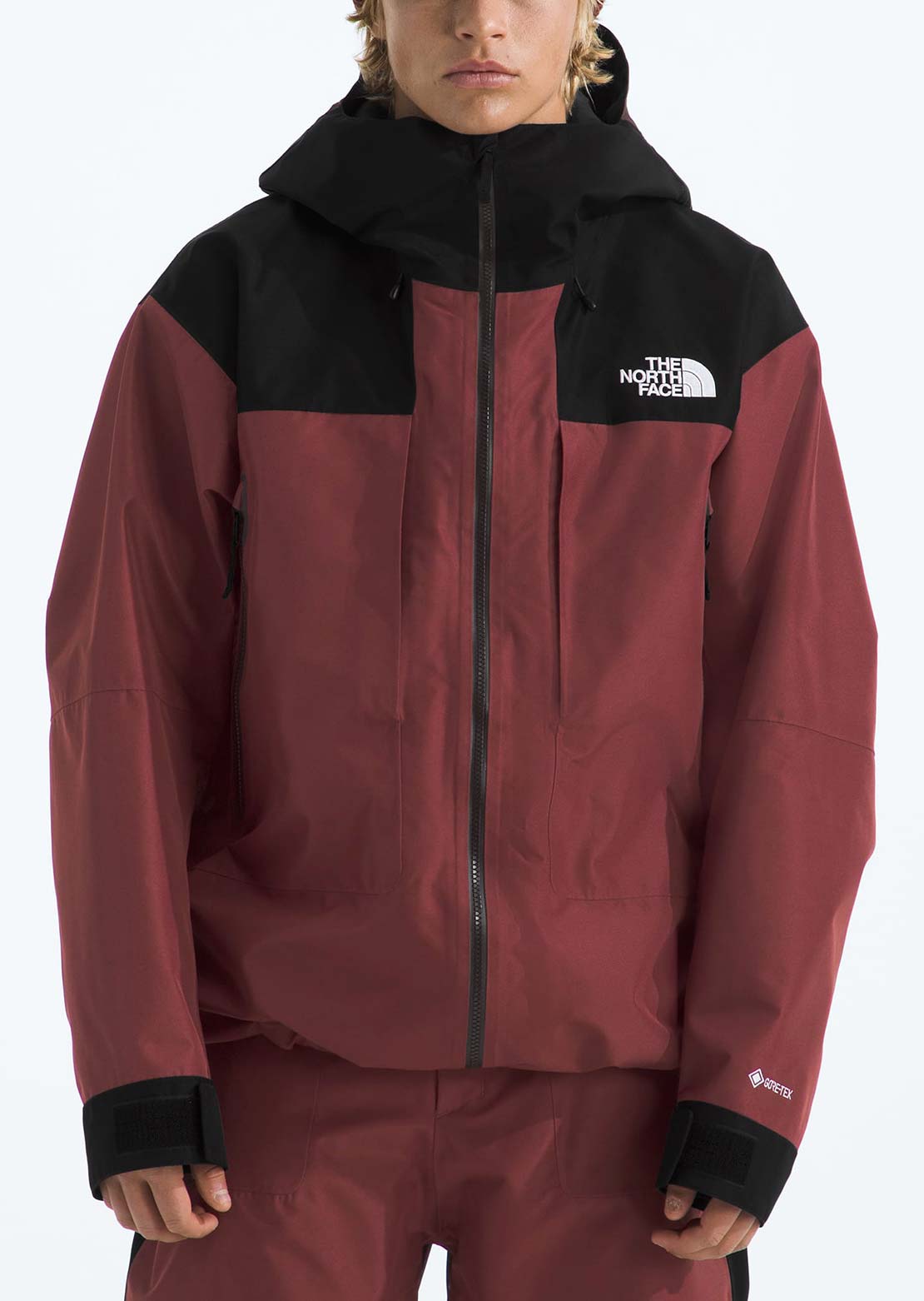 The North Face Men's GTX Hex Jacket - PRFO Sports