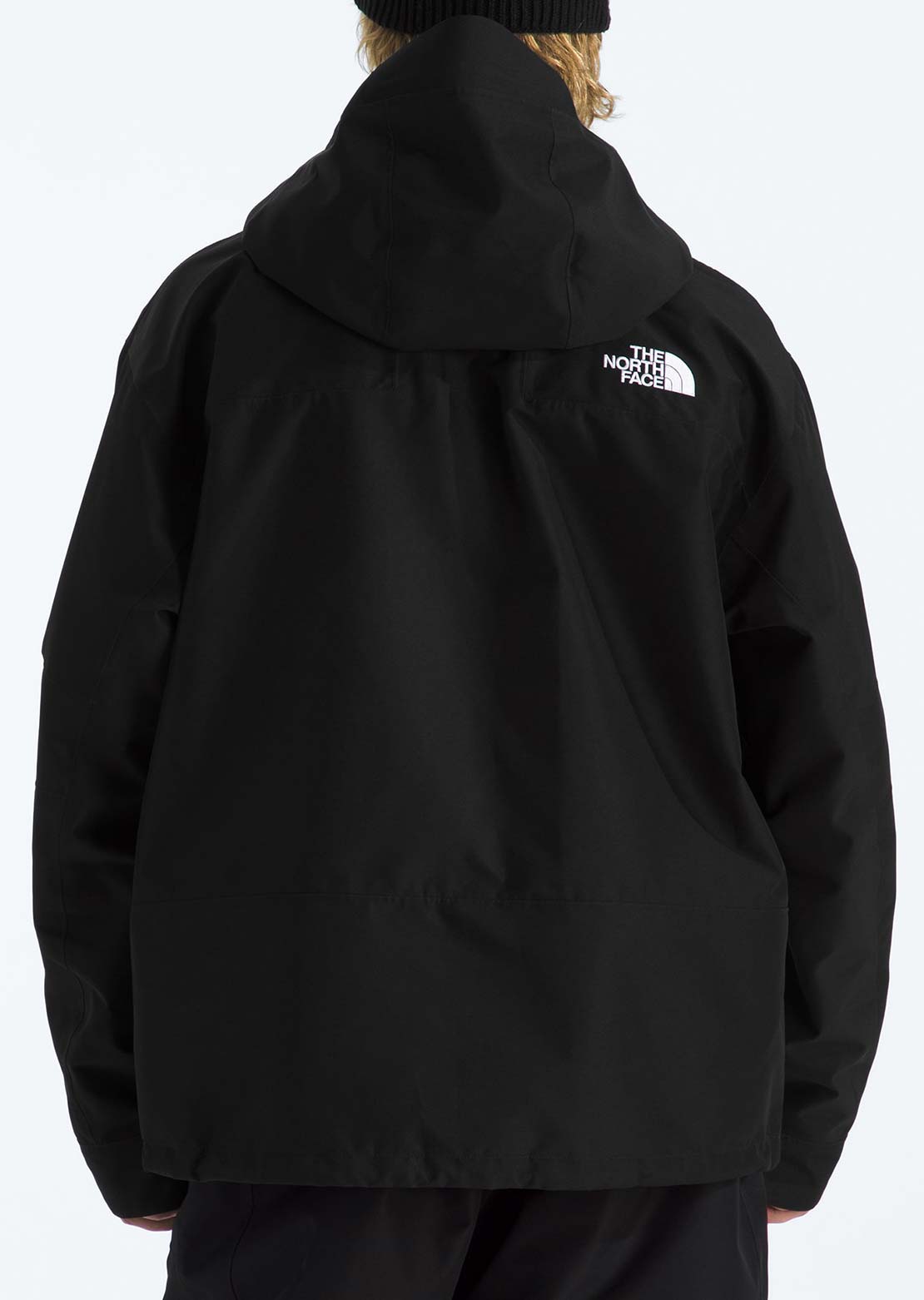 The North Face Men's GTX Hex Jacket TNF Black