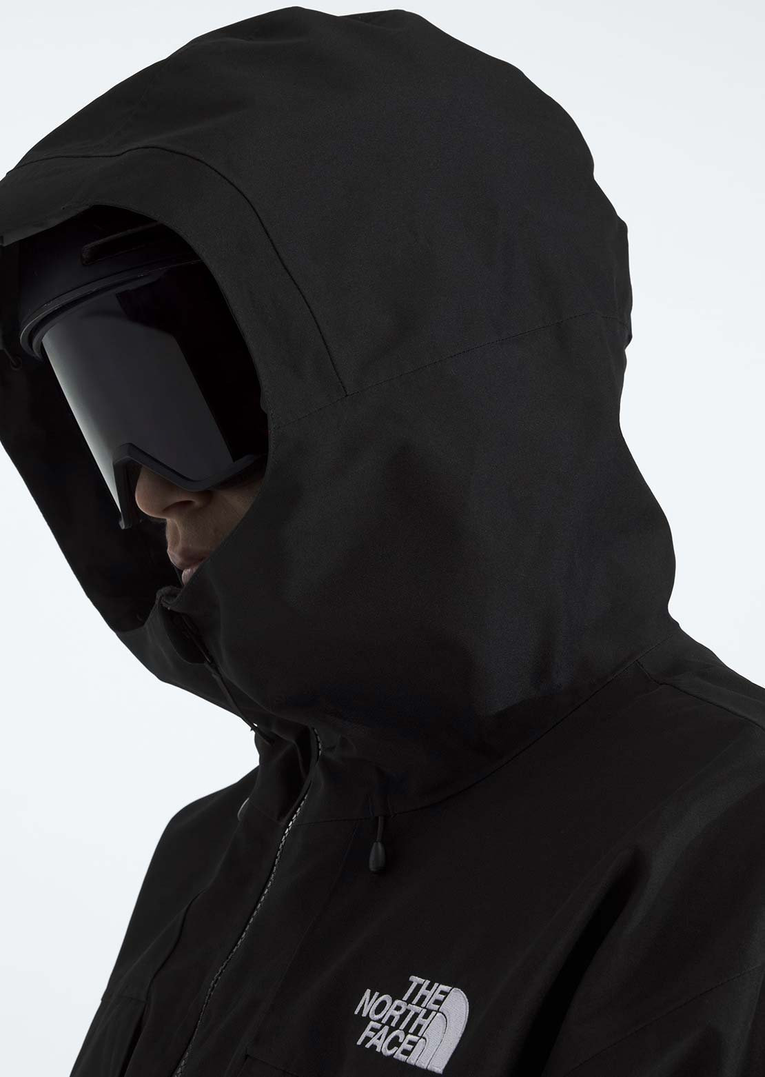 The North Face Men's GTX Hex Jacket TNF Black
