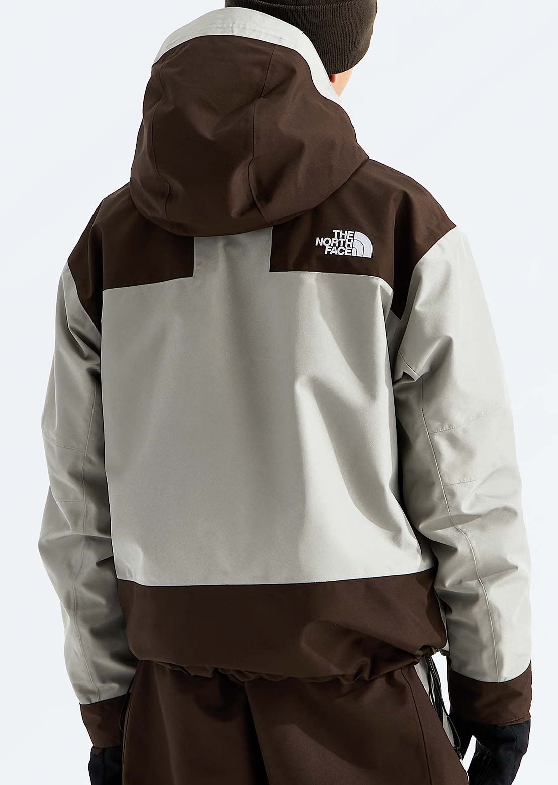 The North Face Men's GTX Hex Jacket