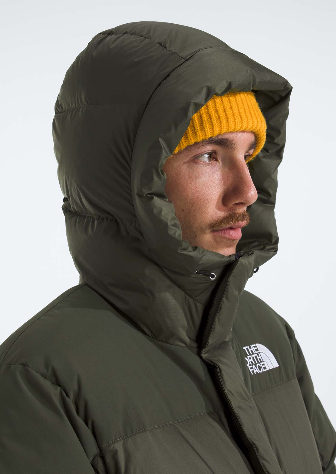 The North Face Men's HMLYN Down Parka New Taupe Green