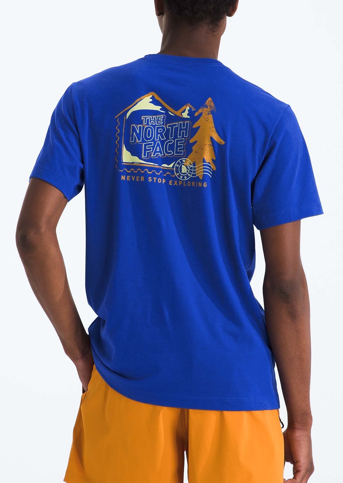 The North Face Men's Mountain Stamps Regular T-Shirt