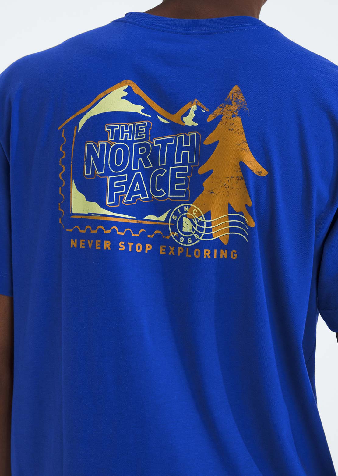 The North Face Men's Mountain Stamps Regular T-Shirt