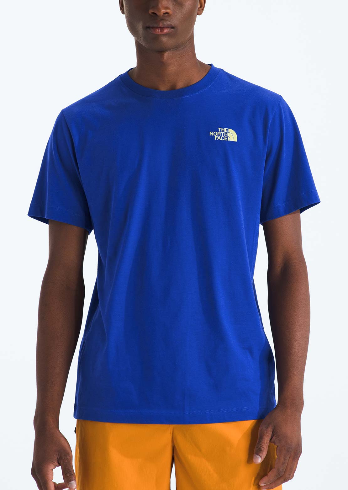 The North Face Men's Mountain Stamps Regular T-Shirt