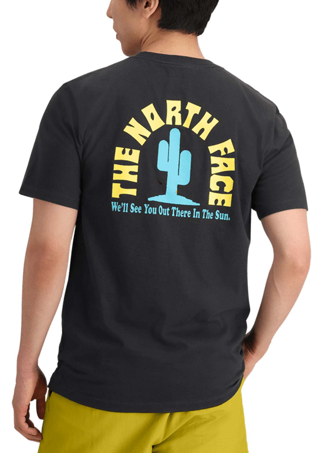 The North Face Men&#39;s Public Lands Cactus Graphic T-shirt TNF Black