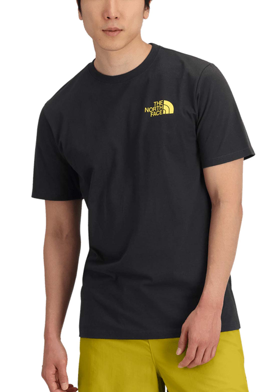 The North Face Men&#39;s Public Lands Cactus Graphic T-shirt TNF Black