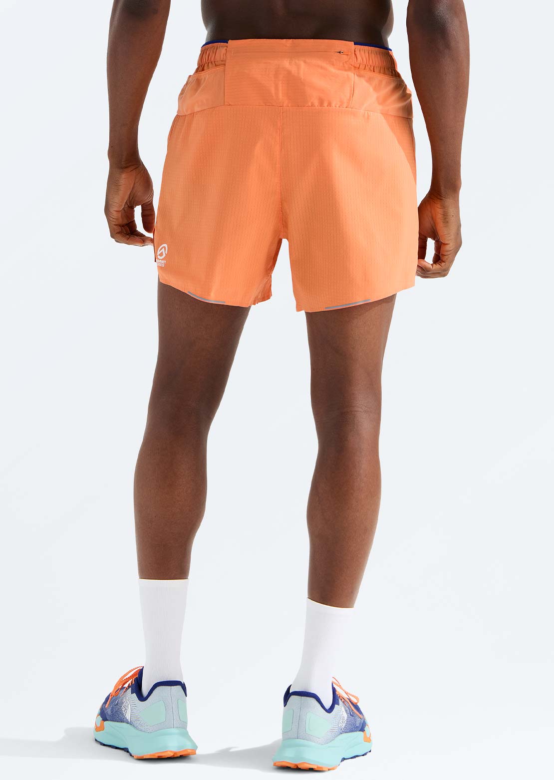 The North Face Men's Summit Pacesetter 5" Graphic Shorts