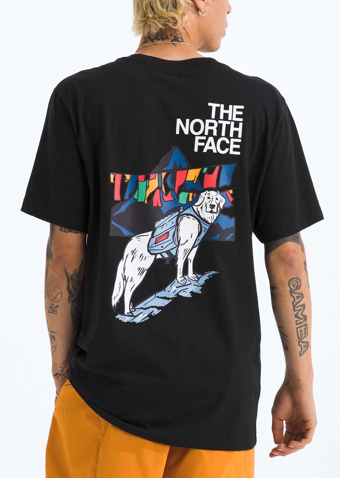 The North Face Men's Sunlit Summit Regular T-Shirt TNF Black