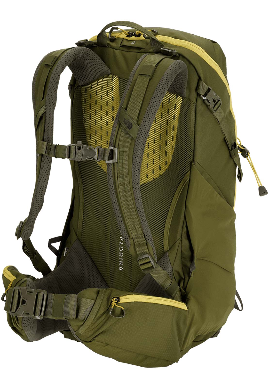 The North Face Men&#39;s Terra 40 Backpack Forest Olive/New Taupe Green